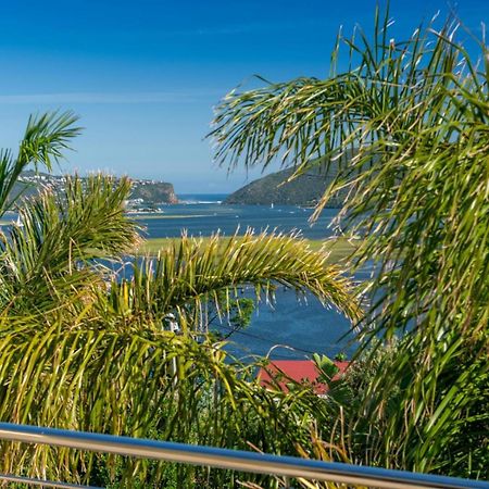 Guest House The Lazy Lion Knysna Buitenkant foto