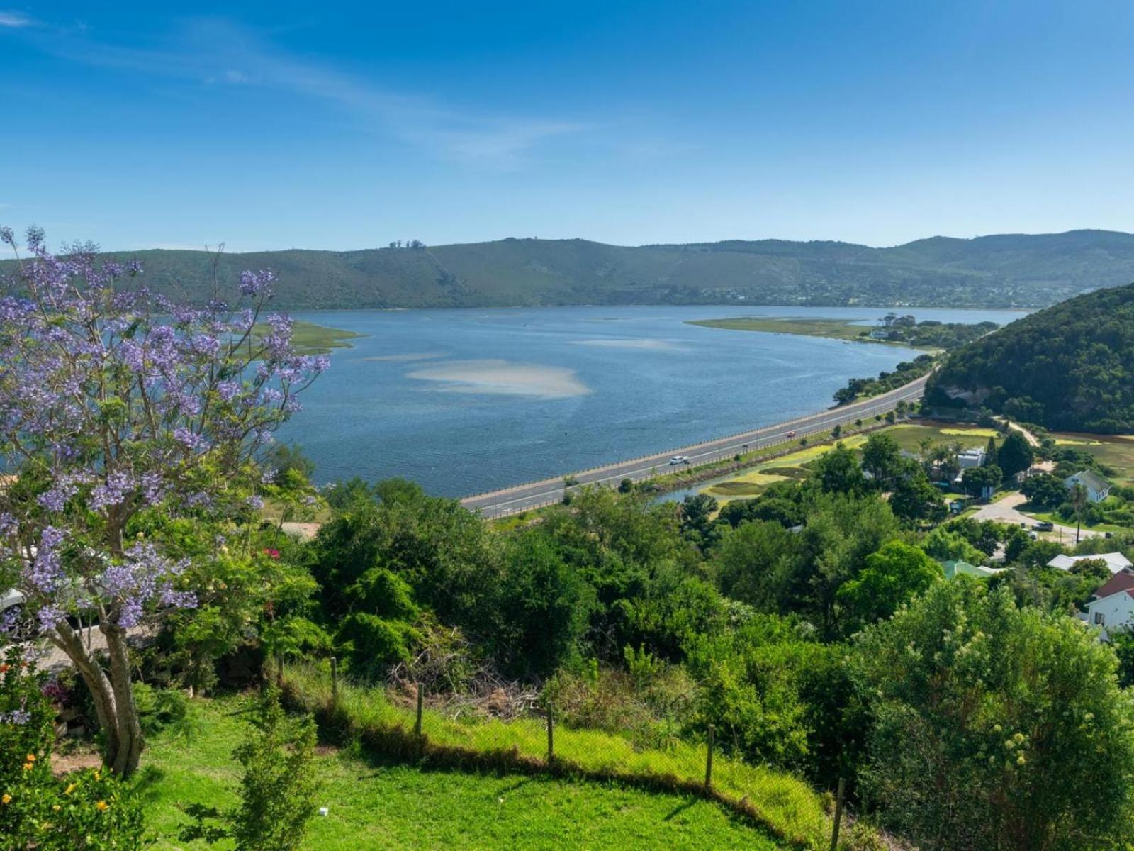 Guest House The Lazy Lion Knysna Buitenkant foto